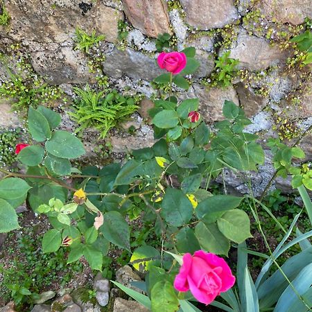 Bergesserin Ferme Fleurie B&B 외부 사진