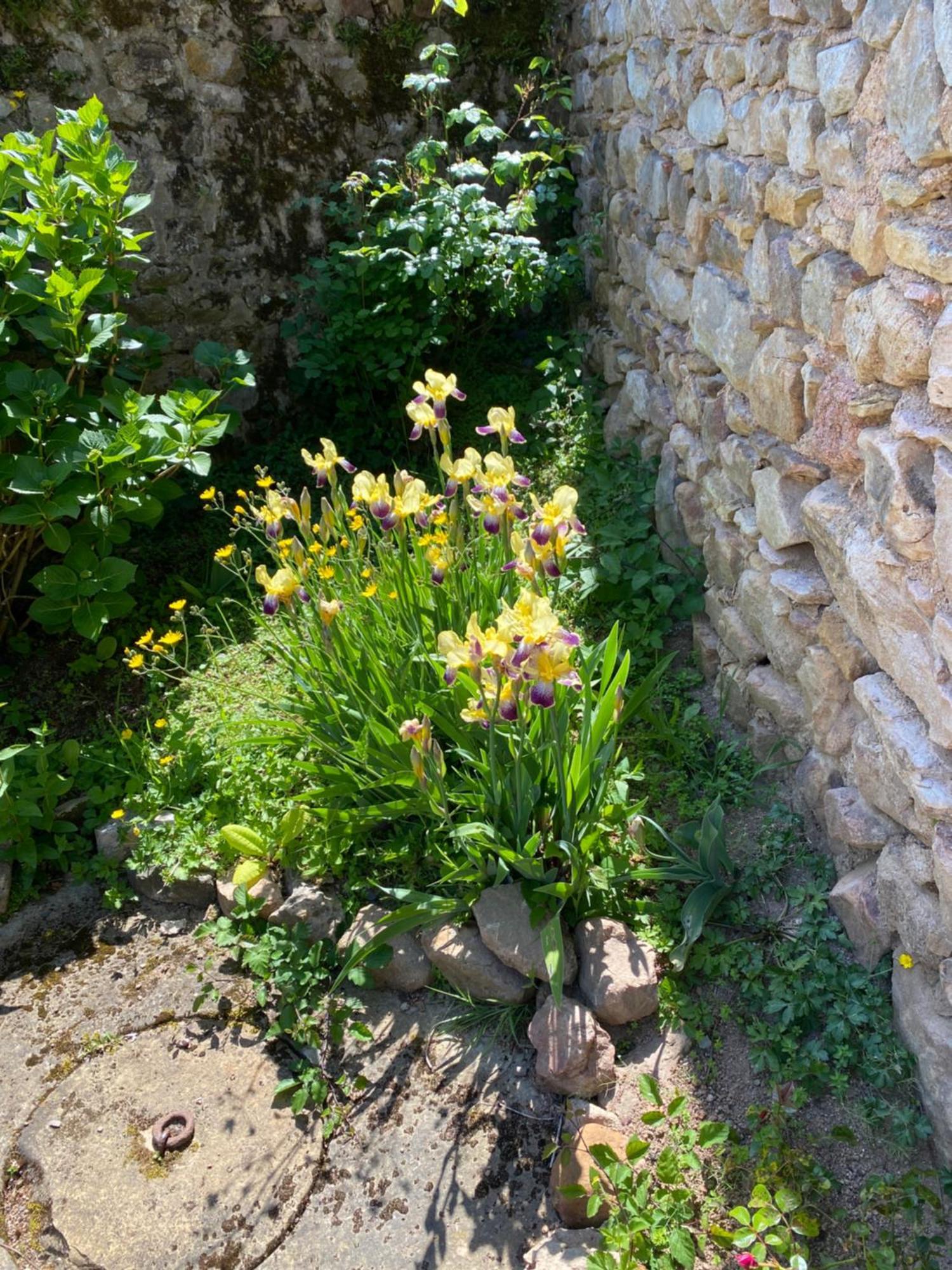 Bergesserin Ferme Fleurie B&B 외부 사진